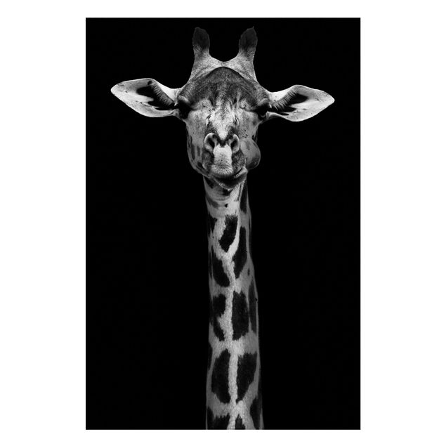 Magneetborden Dark Giraffe Portrait