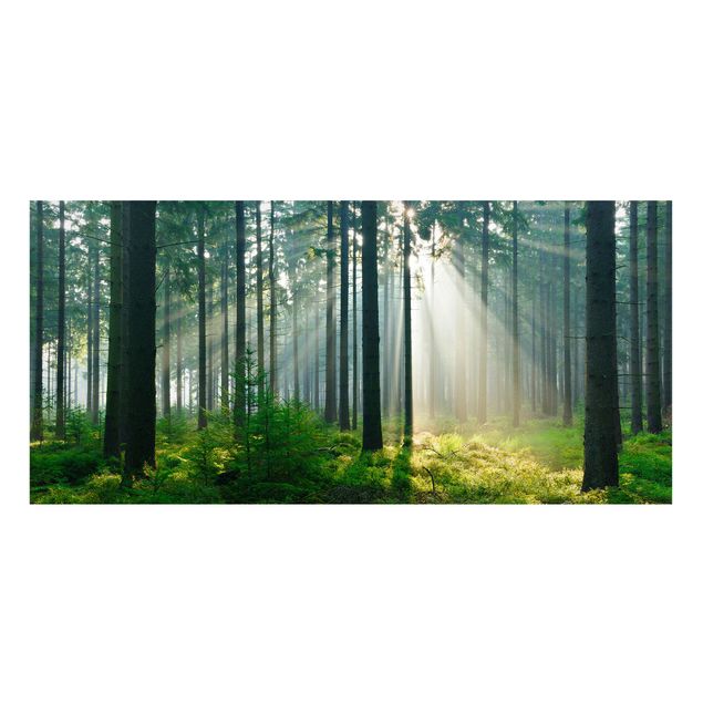 Magneetborden Enlightened Forest