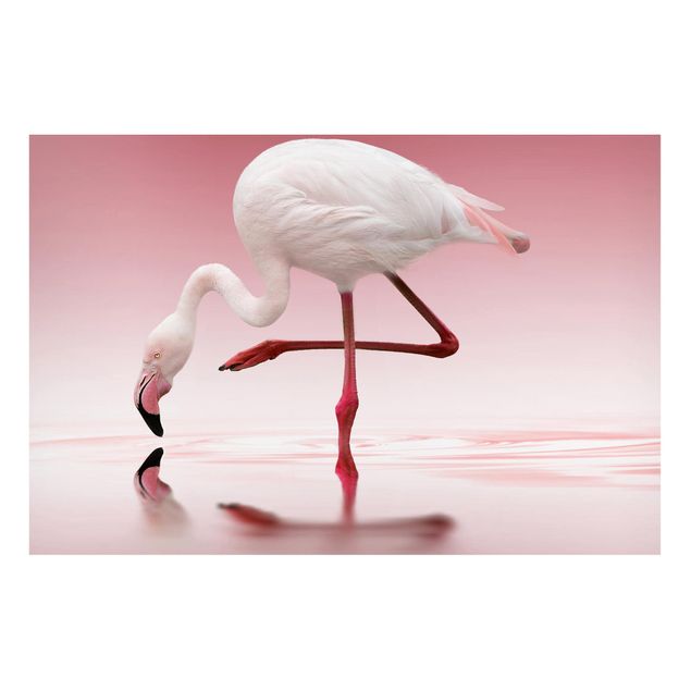 Magneetborden Flamingo Dance