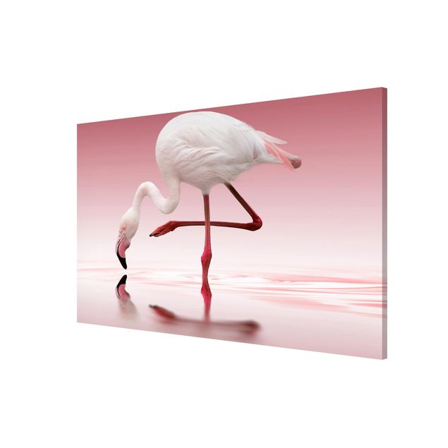 Magneetborden Flamingo Dance