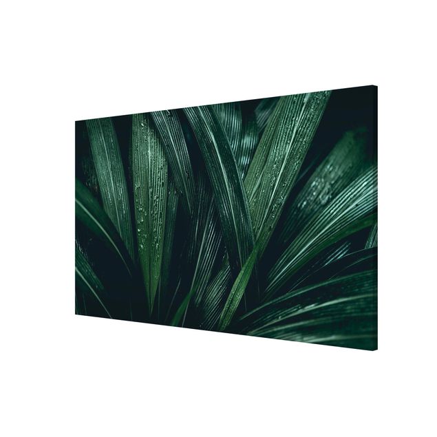 Magneetborden Green Palm Leaves