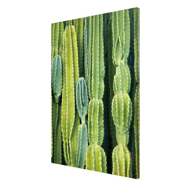 Magneetborden Cactus Wall