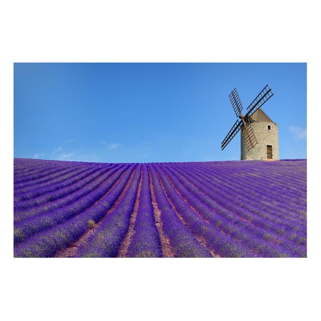 Magneetborden Lavender Scent In The Provence