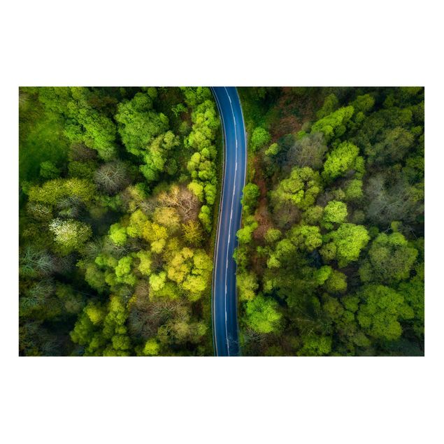 Magneetborden Aerial View - Asphalt Road In The Forest