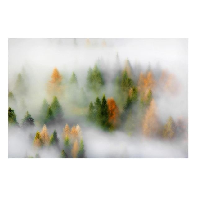 Magneetborden Cloud Forest In Autumn