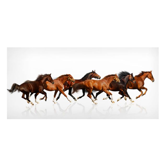 Magneetborden Horse Herd