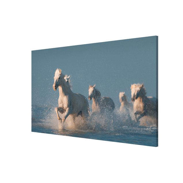 Magneetborden Herd Of White Horses
