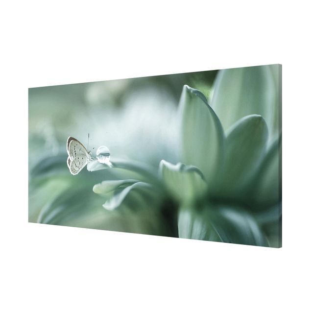 Magneetborden Butterfly And Dew Drops In Pastel Green