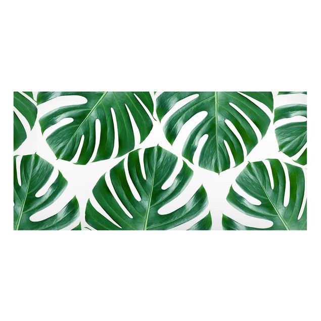 Magneetborden Tropical Green Leaves Monstera