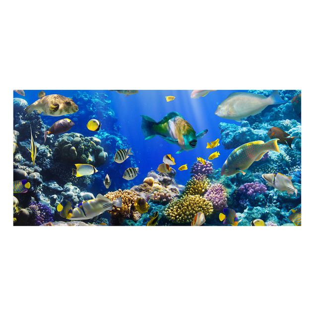 Magneetborden Underwater Reef