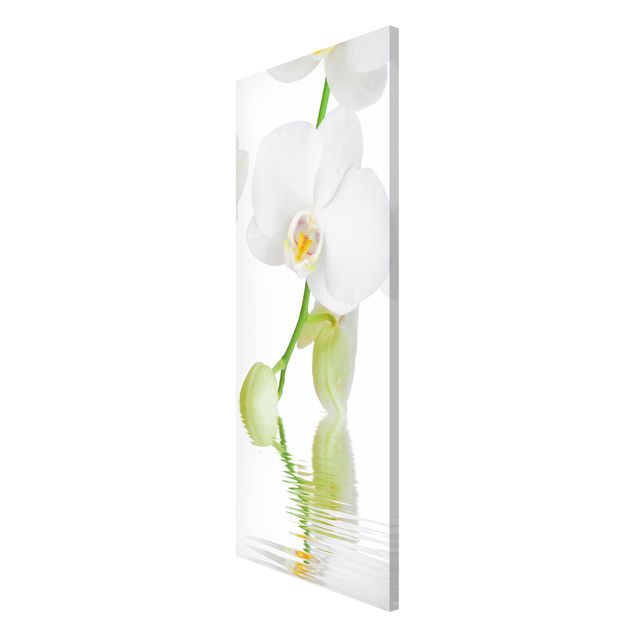 Magneetborden Spa Orchid - White Orchid