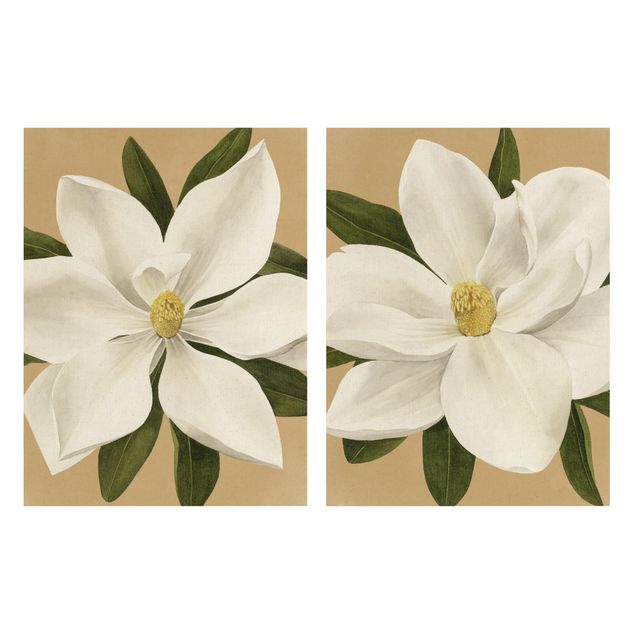 Natuurlijk canvas schilderijen - 2-delig  Magnolia On Gold