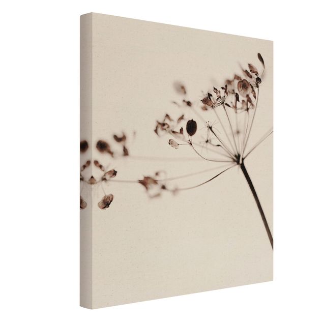 Canvas schilderijen - Goud Macro Image Dried Flowers In Shadow