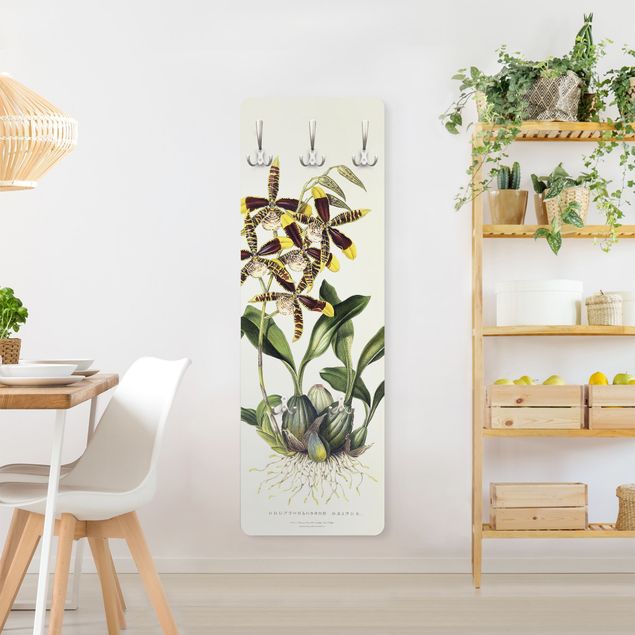 Wandkapstokken houten paneel Maxim Gauci - Orchid II