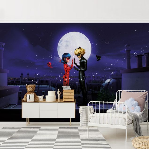 Miraculous Miraculous Ladybug And Cat Noir In The Moonlight