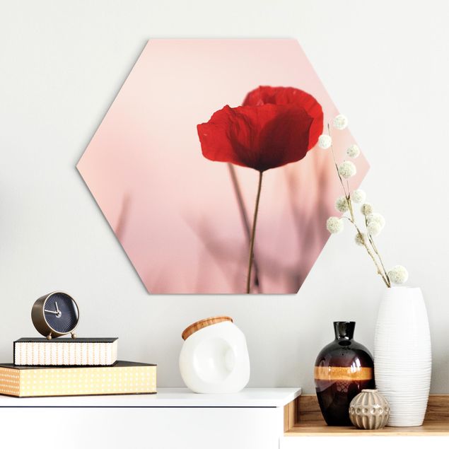 Hexagons Aluminium Dibond schilderijen Poppy Flower In Twilight