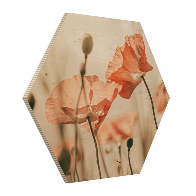 Hexagons houten schilderijen Poppy Flowers In Summer Breeze