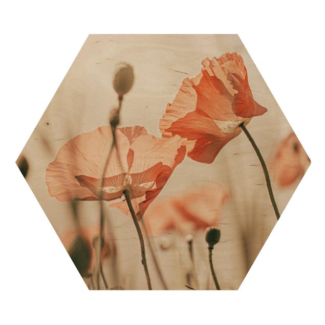 Hexagons houten schilderijen Poppy Flowers In Summer Breeze
