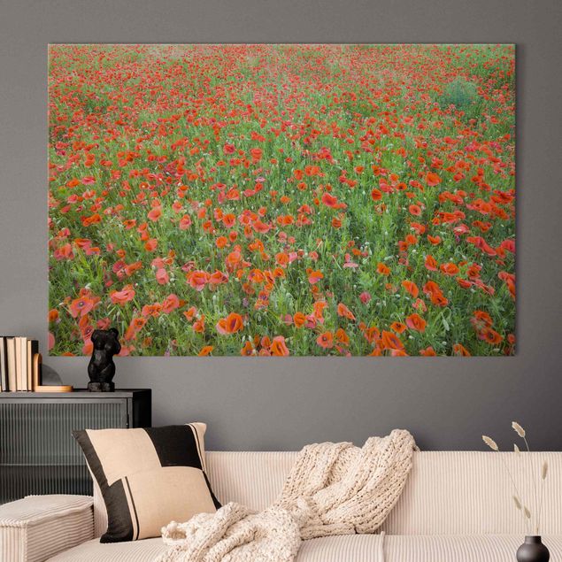Akoestisch schilderij - Poppy Field