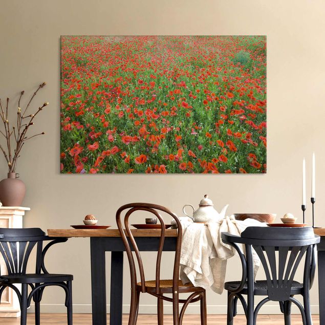 Akoestisch schilderij - Poppy Field