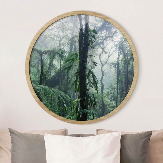 Runde Bilder mit Rahmen Monteverde Cloud Forest