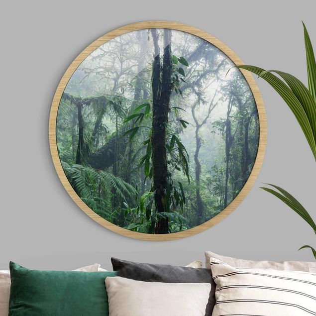 Matteo Colombo Kunstdrucke Monteverde Cloud Forest