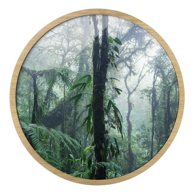 Rond schilderijen Foresta nuvolosa di Monteverde