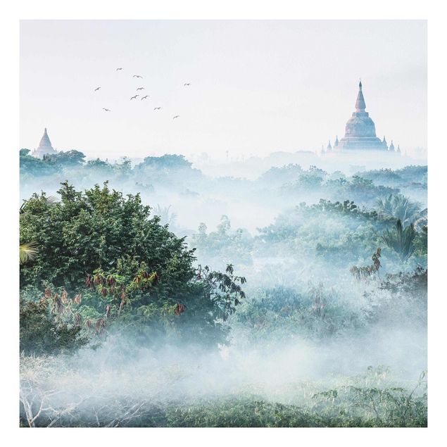 Forex schilderijen Morning Fog Over The Jungle Of Bagan