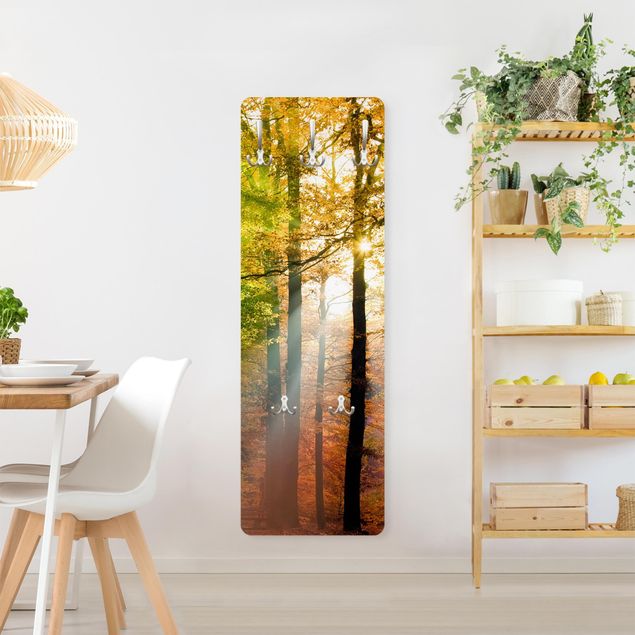 Wandkapstokken houten paneel Morning Light