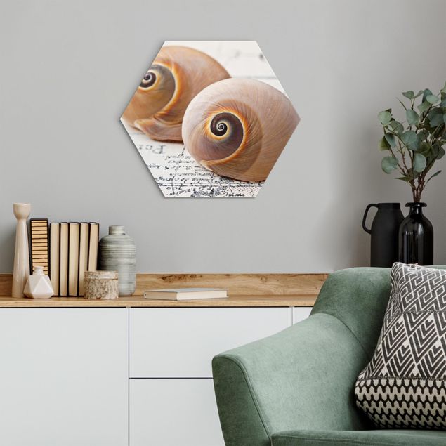 Hexagons Aluminium Dibond schilderijen - Shell Duo
