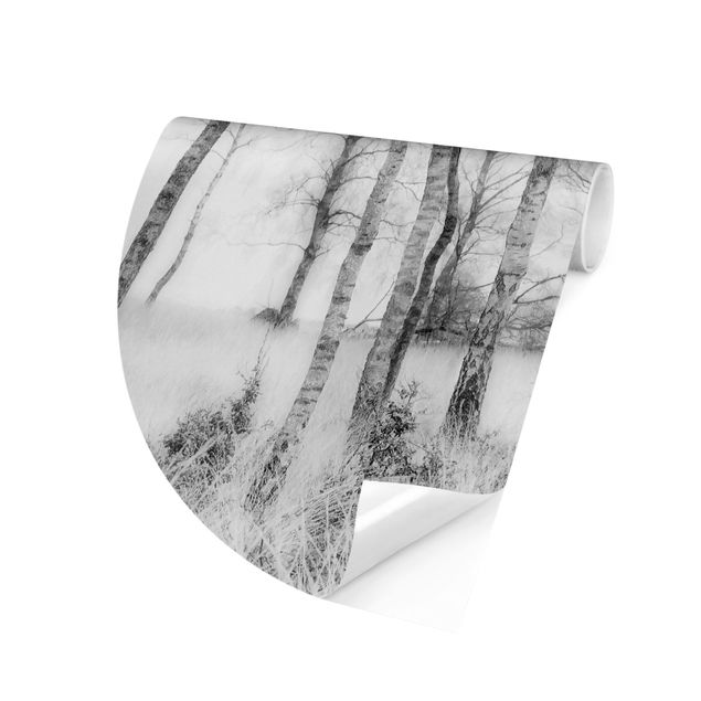 Behangcirkel Mystic Birch Forest Black And White