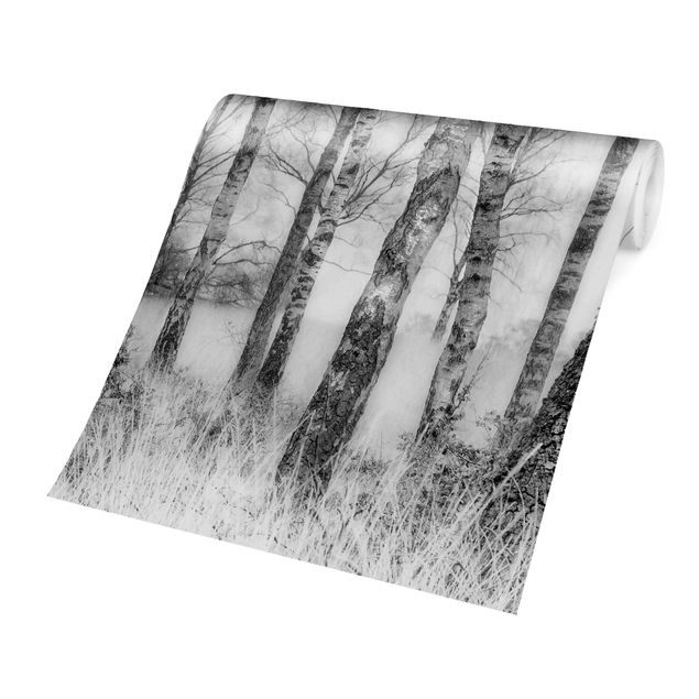 Fotobehang - Mystic Birch Forest Black And White