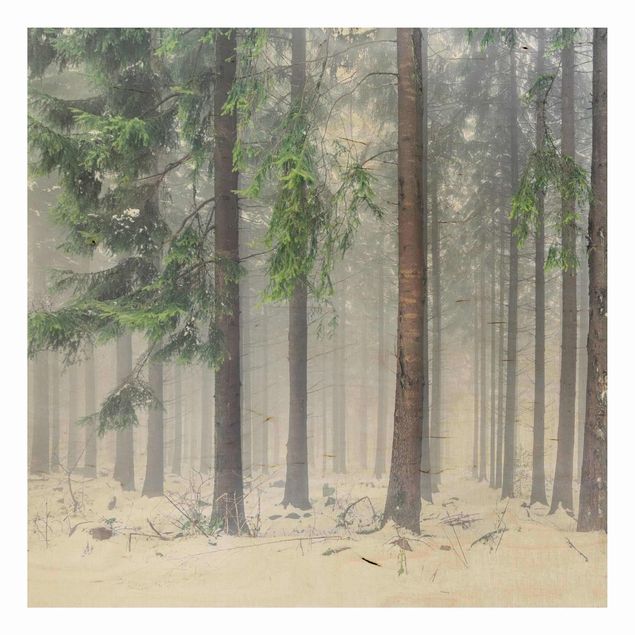 Houten schilderijen Conifers In Winter
