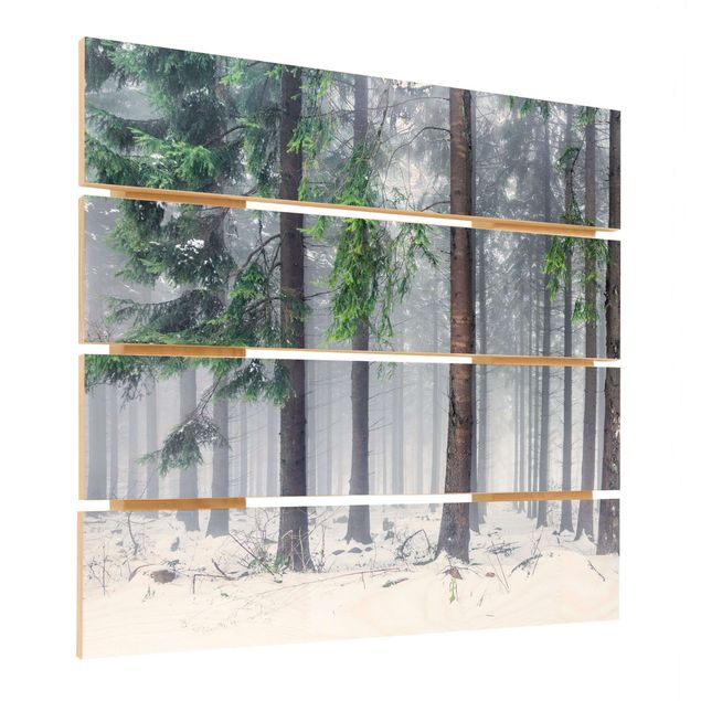 Houten schilderijen op plank Conifers In Winter