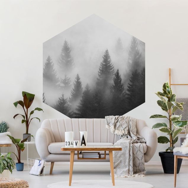Hexagon Behang Coniferous Forest In The Fog Black And White