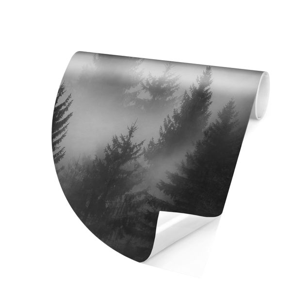 Behangcirkel Coniferous Forest In The Fog Black And White
