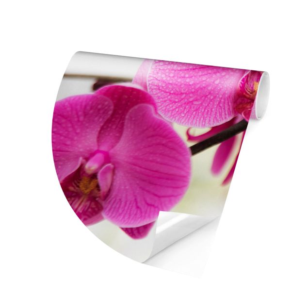 Behangcirkel Close-Up Orchid