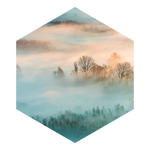 Hexagon Behang Fog At Sunrise