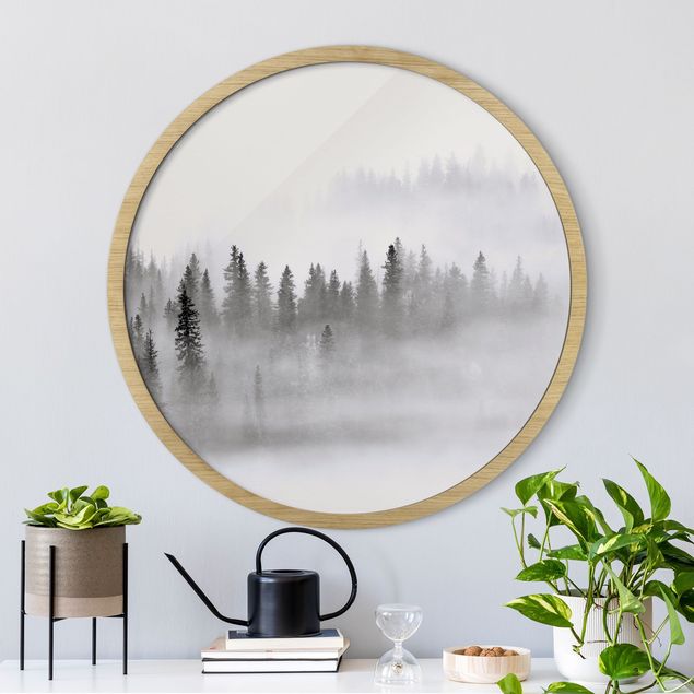 Rond schilderijen Nebbia nel bosco di abeti in bianco e nero