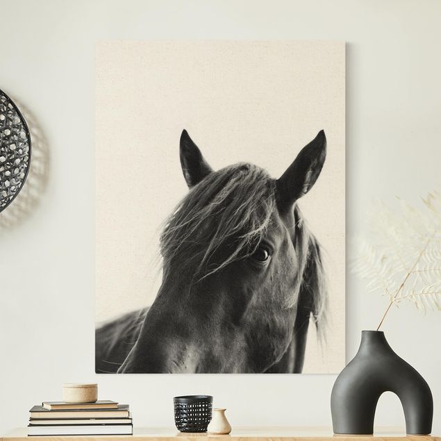 Canvas schilderijen - Goud Curious Horse