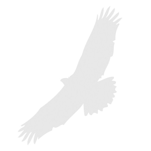 Raamfolie No.UL524 bird of prey