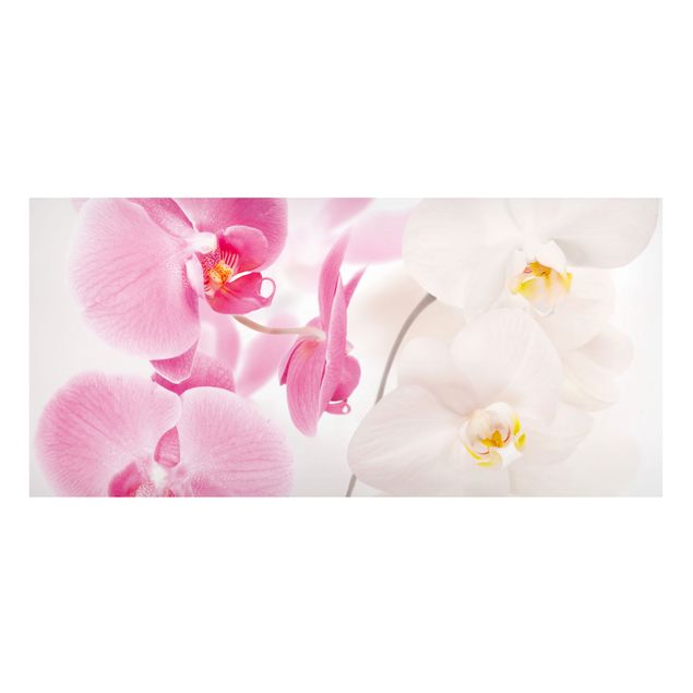 Magneetborden Delicate Orchids