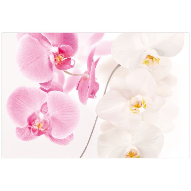 Raamfolie Delicate Orchids