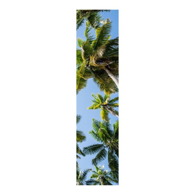 Schuifgordijnen Palm Tree Canopy