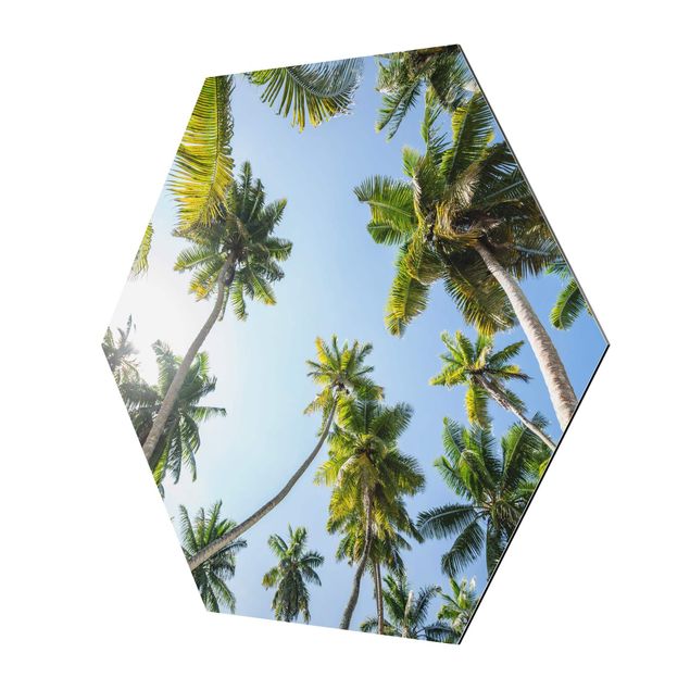 Hexagons Aluminium Dibond schilderijen Palm Tree Canopy