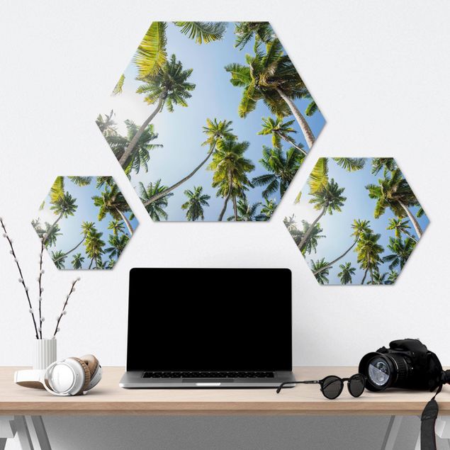 Hexagons Aluminium Dibond schilderijen Palm Tree Canopy