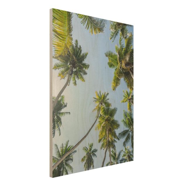 Houten schilderijen Palm Tree Canopy