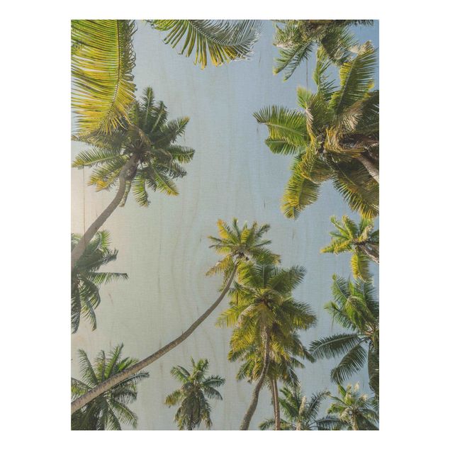Houten schilderijen Palm Tree Canopy