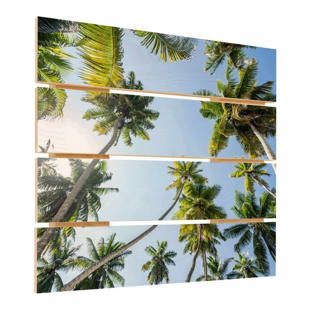 Houten schilderijen op plank Palm Tree Canopy