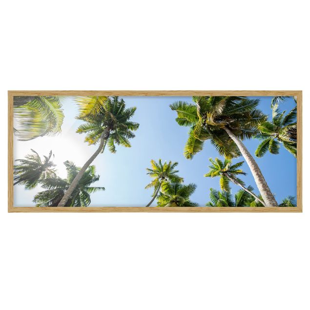 Ingelijste posters Palm Tree Canopy
